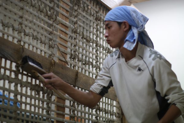 Cyclic-Loading Tests of Traditional Mud Walls Constructed by Plasterers in Kyoto